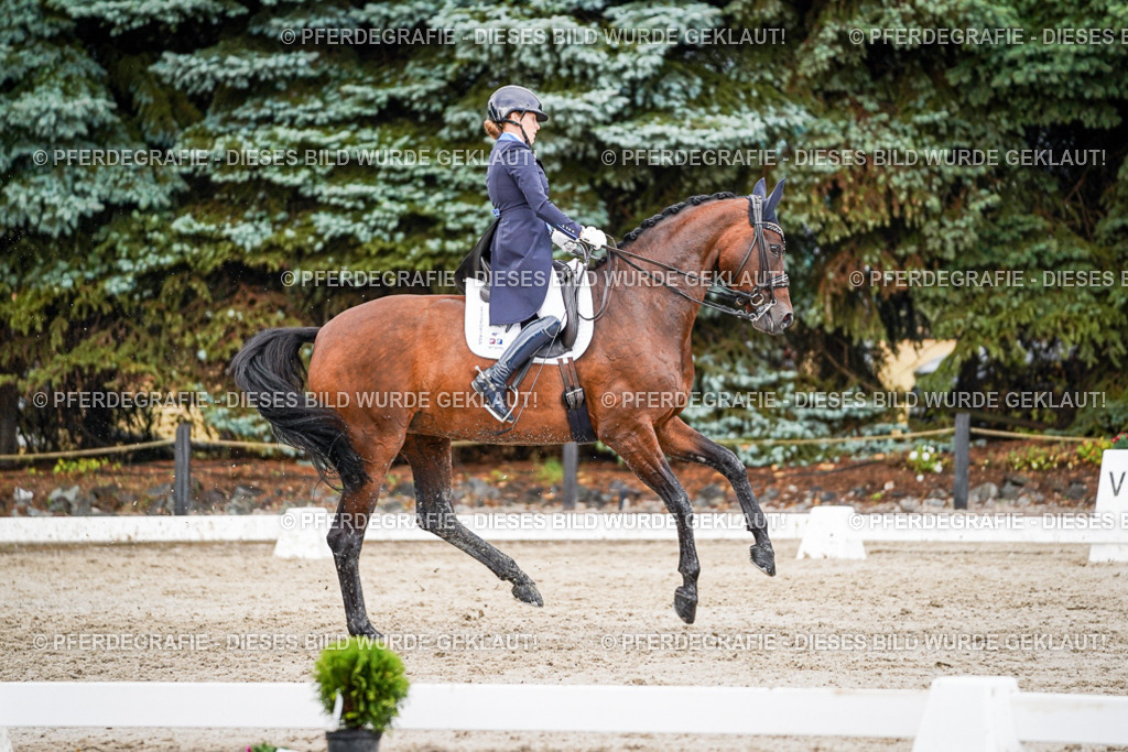 DSC00128 | Pferdegrafie