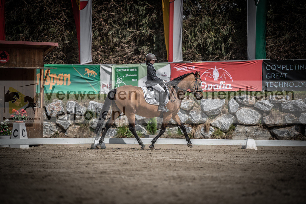 DSC_0918 | equestrian-live-com