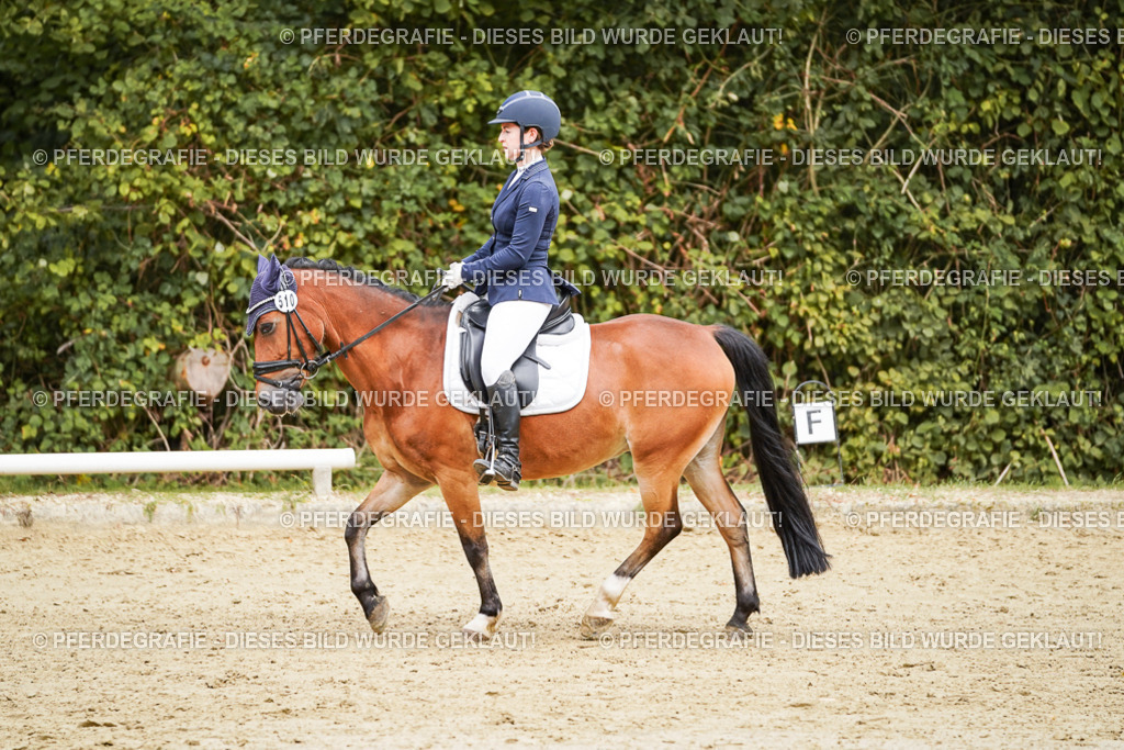 DSC00358 | Pferdegrafie