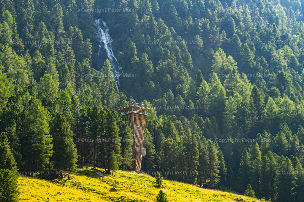 Wildtierbeobachtung_Oberhaus_Erlebnisraum_Wald_23_Peter_Maier-152 | piet_flosse