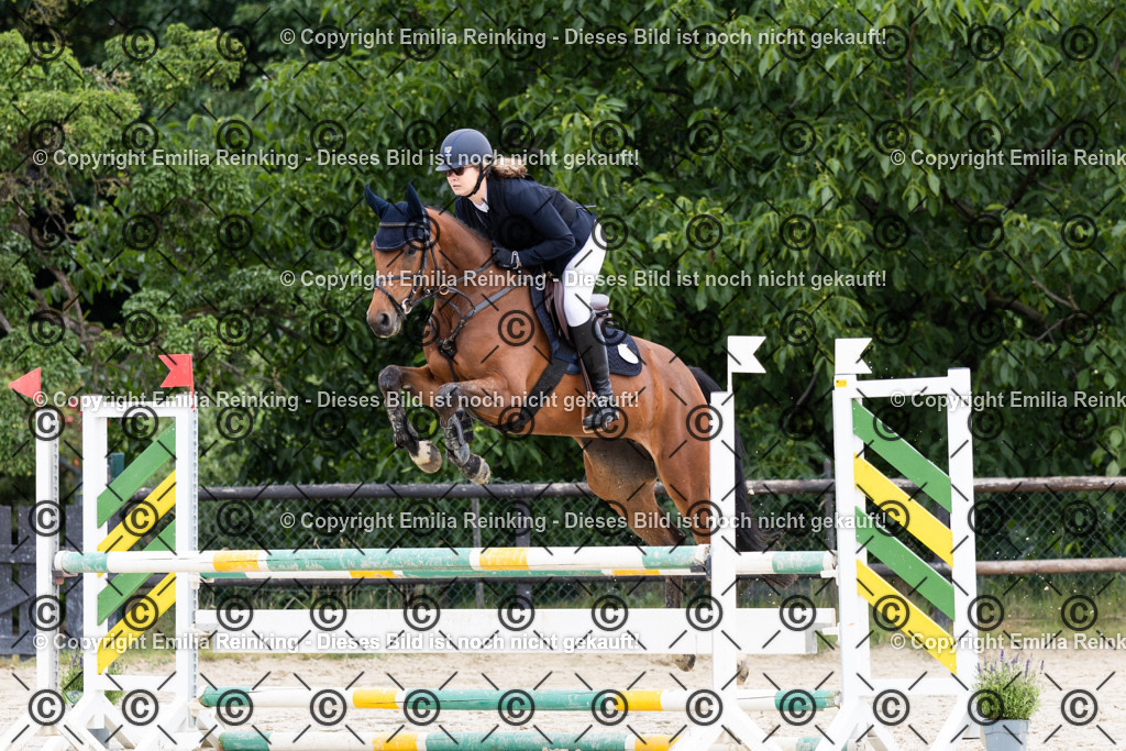 CL5A5046 | Emilia Reinking Fotografie - Realisiert mit Pictrs.com