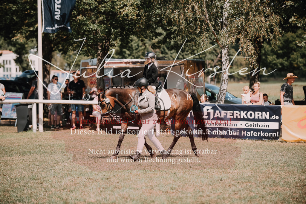 DSC_5990 | Pferde- und Turnierfotografie in Westsachsen. Pferdeportraits, Auftragszeichnungen und intuitive Kunst.