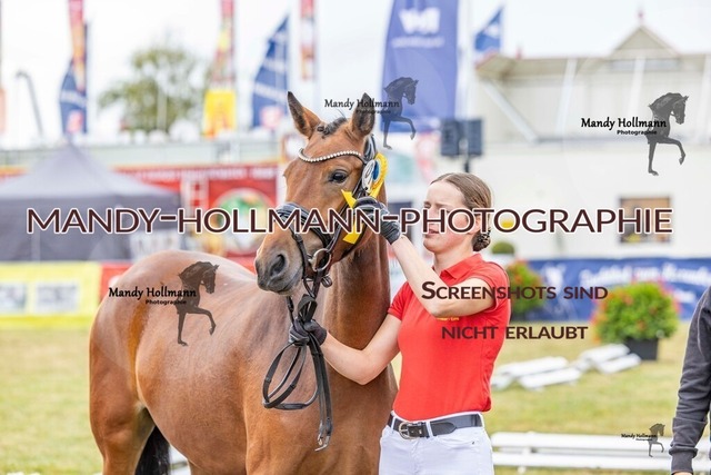 DR (623 von 2698) | mandyhollmannphotographie