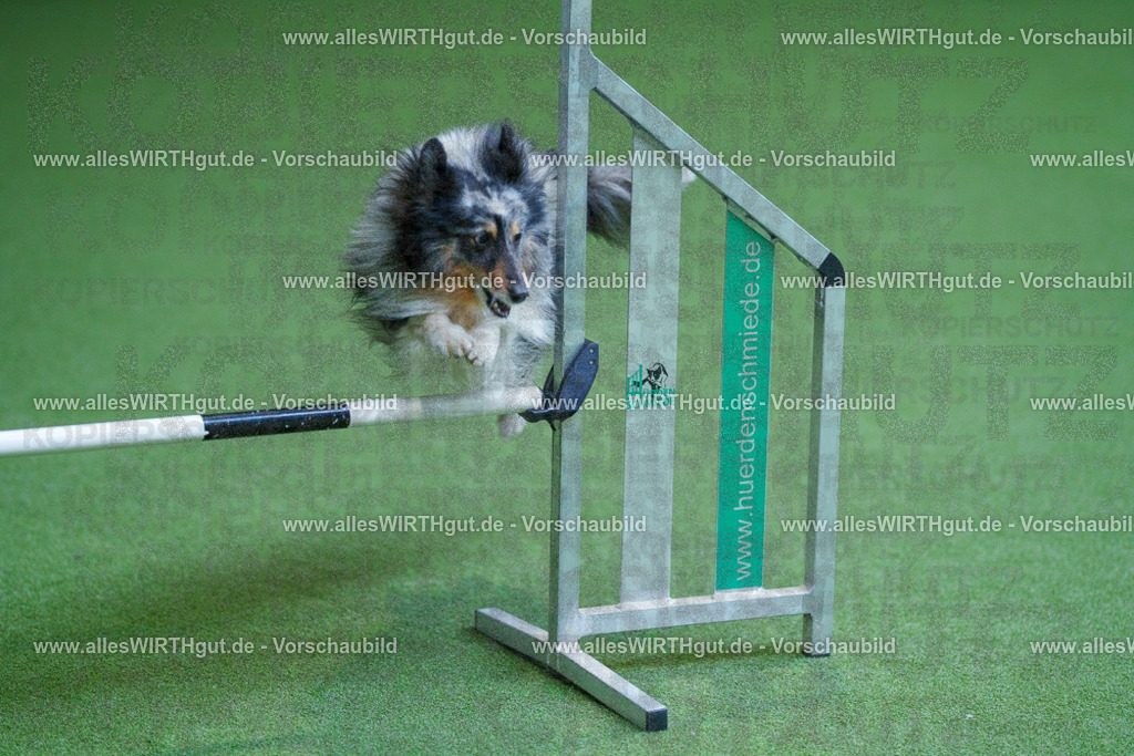 @allesWIRTHgut_Tierfotografie - www.allesWIRTHgut.de - 2604261337-7R502300 | Professionelle Tierfotografie in Mönchengladbach von Daniel Wirth (allesWIRTHgut). Liebevolle & natürliche Bilder von Hunden & Katzen für unvergessliche Erinnerungen.