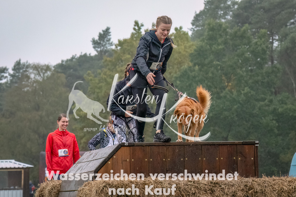 1244--2 | kk-dogfotos
