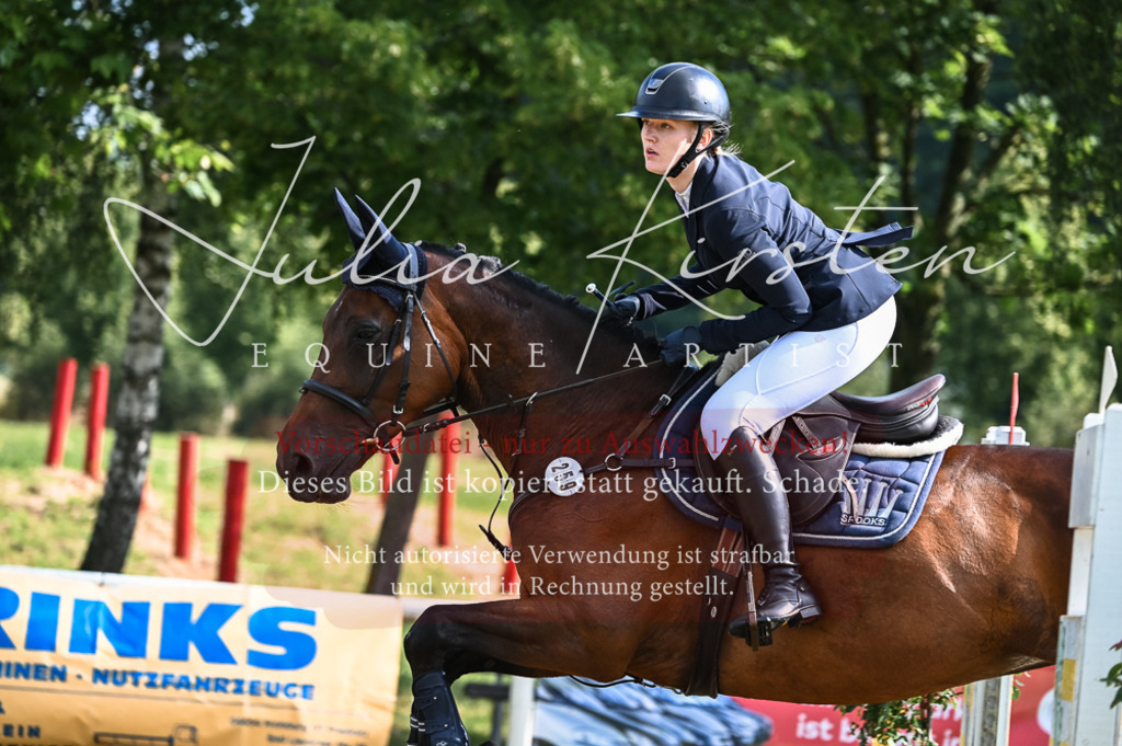 DSC_7862 | Pferde- und Turnierfotografie in Westsachsen. Pferdeportraits, Auftragszeichnungen und intuitive Kunst.