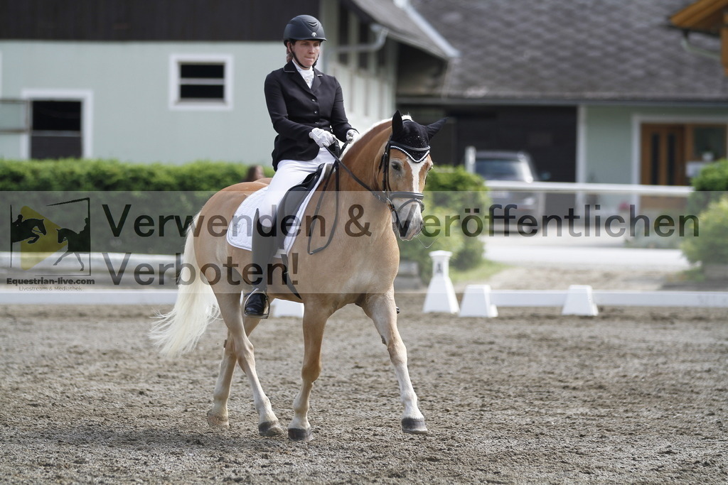 _MG_9762 | equestrian-live-com