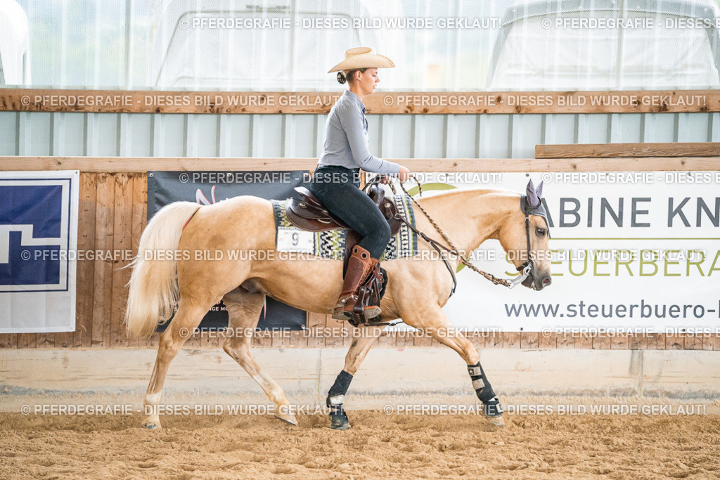 DSC00735 | Pferdegrafie