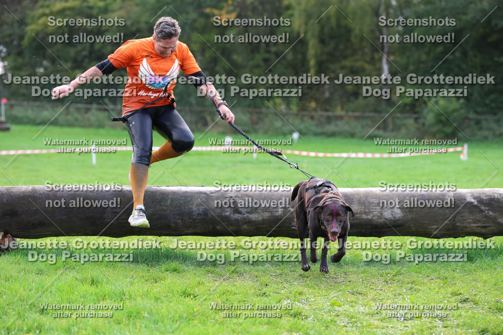 Dog Paparazzi -  SD1026-2265 | Dog Paparazzi Jeanette Grottendiek Fotografie & Videografie - Realisiert mit Pictrs.com
