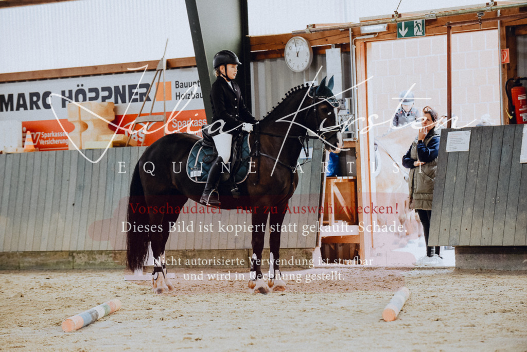 DSC_6811 | Pferde- und Turnierfotografie in Westsachsen. Pferdeportraits, Auftragszeichnungen und intuitive Kunst.
