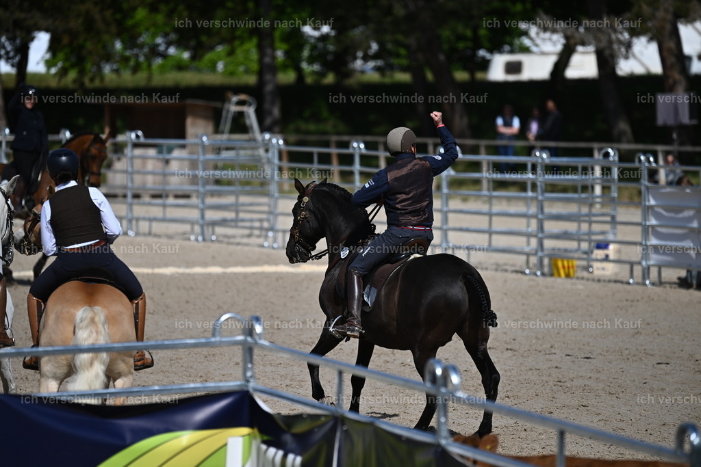 PI26_COW_Sara Landvogt226_7219.JPG | working equitationturnier fotograf videograf stoibphotography marixx film working equitation deutschland reitsport turnierfotografie eventfotografie equestrian events