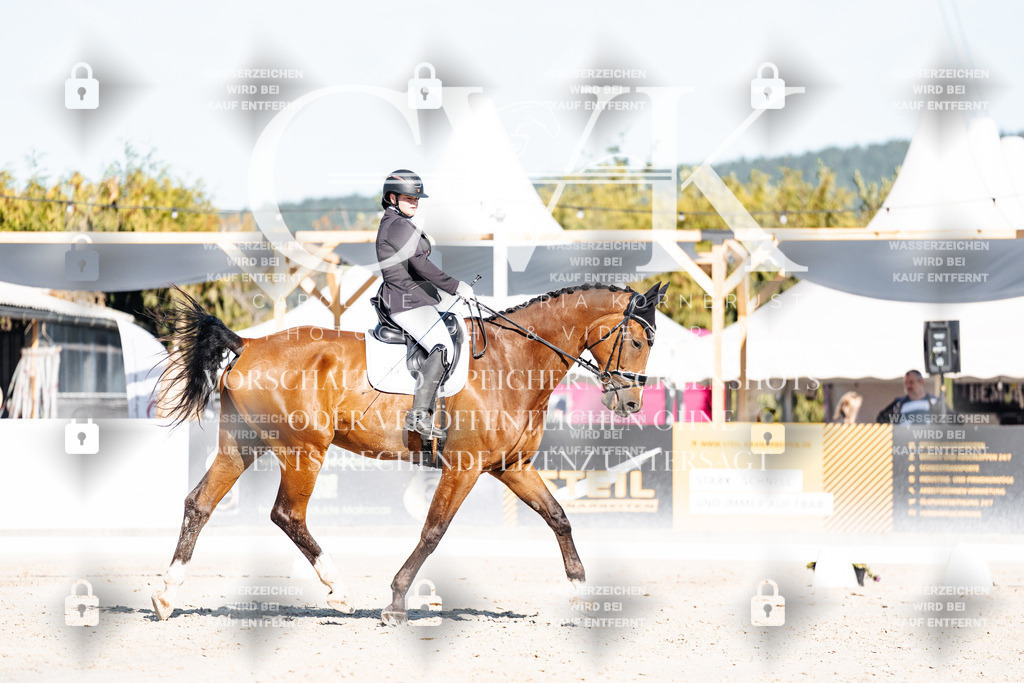 CK907629 | Turnierfotografie Pferdefotografie Trier Rheinland-Pfalz Pferdesport Reitsport Tierfotografie Sportfotografie Pferdevideo Pferdevideografie Equestrianvideography equestrianphotography  - Realisiert mit Pictrs.com