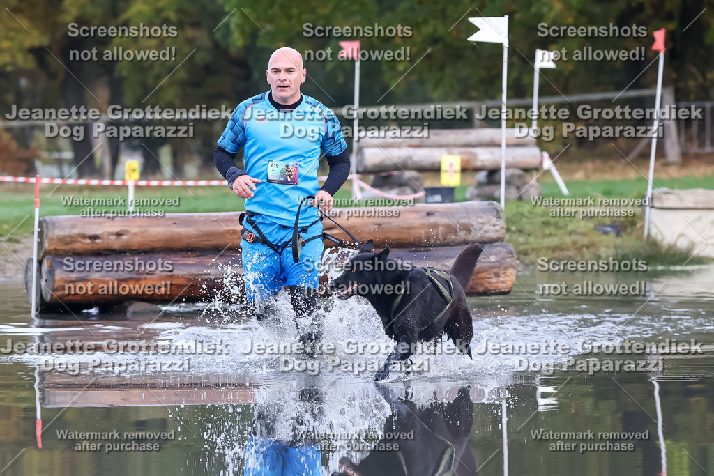 Dog Paparazzi - Strongdog 10-25-6516 | Dog Paparazzi Jeanette Grottendiek Fotografie & Videografie - Realisiert mit Pictrs.com