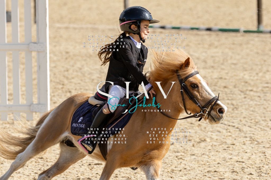 IMG_4455 | s-jay-photography - Realisiert mit Pictrs.com