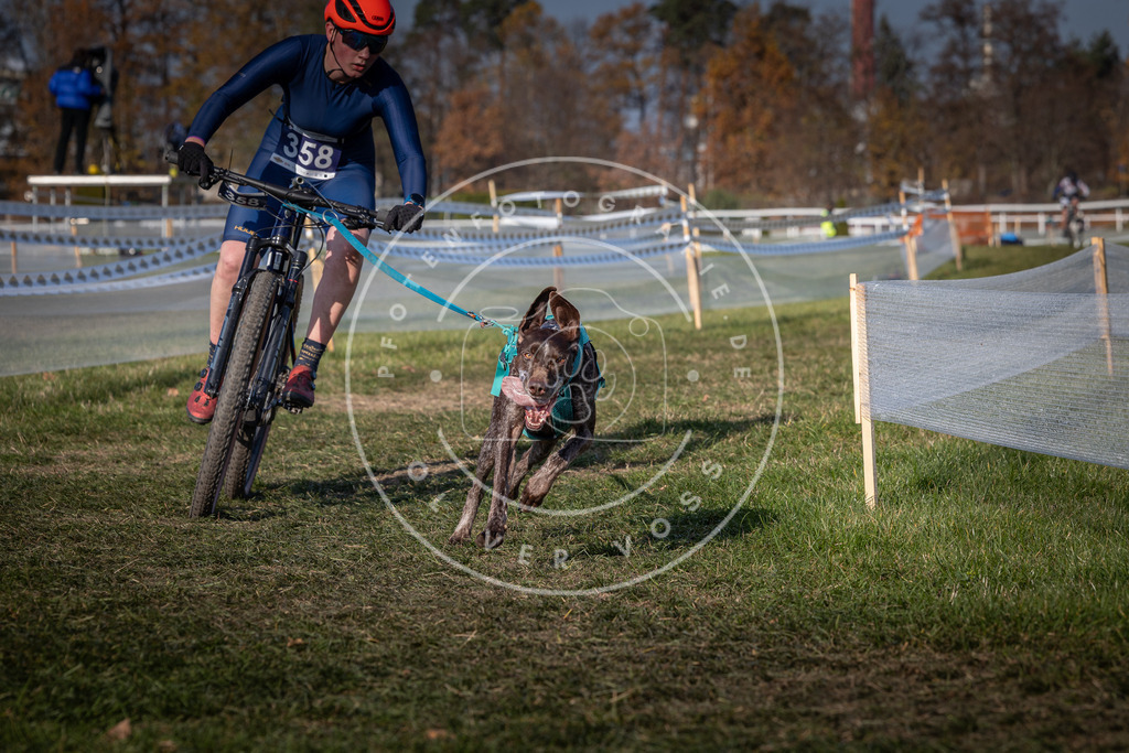CaniXpix_0L8A7363 | Hundefotografie, Tierfotograf, Pfotenfotografie, Fotoshooting Hund, Hunde Portrait, Hundesport, Hundeportraits, Heideshooting, Hunde, Sportfotograf, Hundefotograf, Turnierhundsport, THS,  - Realisiert mit Pictrs.com