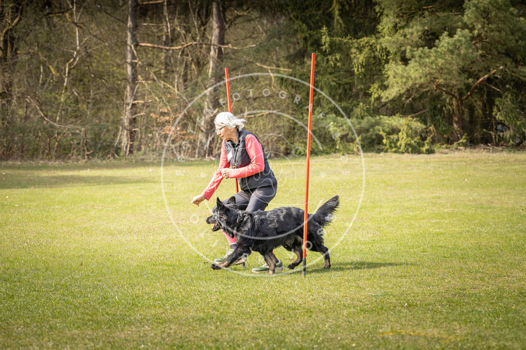 Pfotenfotografie_DV3A9607 | Hundefotografie, Tierfotograf, Pfotenfotografie, Fotoshooting Hund, Hunde Portrait, Hundesport, Hundeportraits, Heideshooting, Hunde, Sportfotograf, Hundefotograf, Turnierhundsport, THS,  - Realisiert mit Pictrs.com