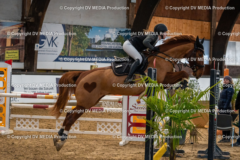 Kranichstein Tag 2-002 | dv-media-shop - Realisiert mit Pictrs.com