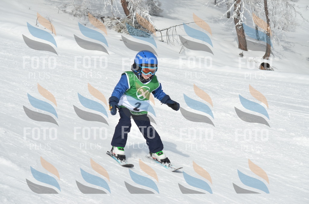 D8460 | holidayphoto