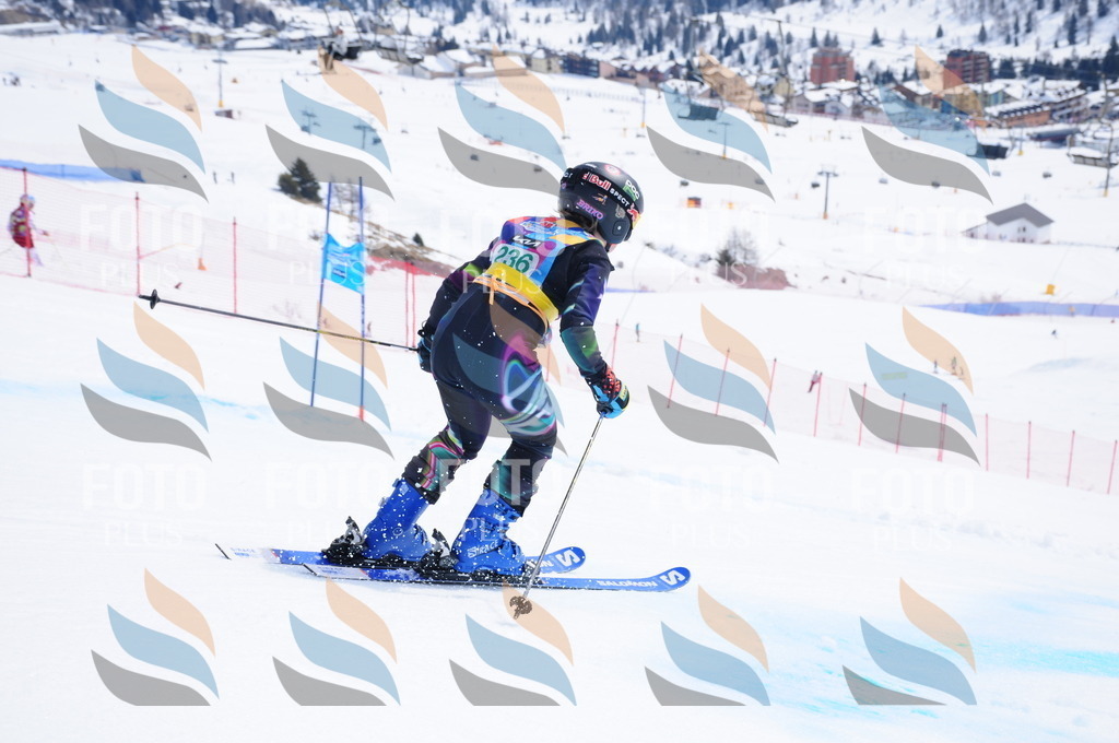 DSC_2207 | holidayphoto