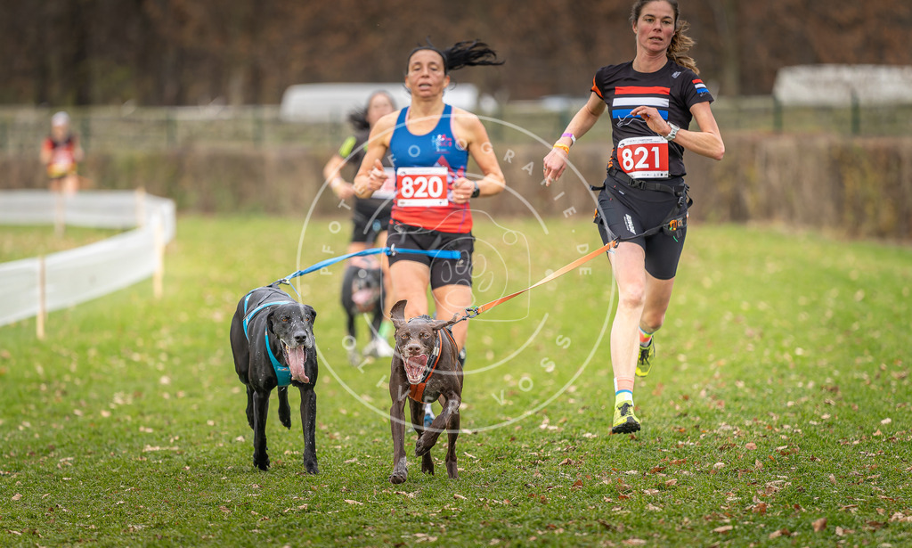 CaniXpix_DV3A6351 | Hundefotografie, Tierfotograf, Pfotenfotografie, Fotoshooting Hund, Hunde Portrait, Hundesport, Hundeportraits, Heideshooting, Hunde, Sportfotograf, Hundefotograf, Turnierhundsport, THS,  - Realisiert mit Pictrs.com