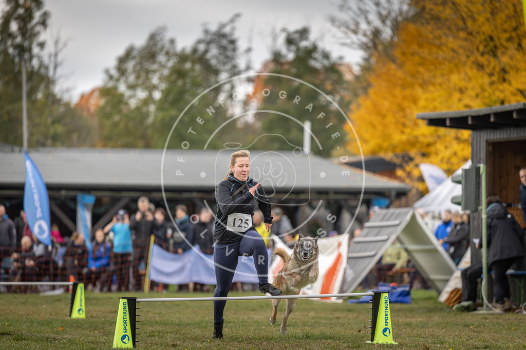 Pfotenfotografie_DV3A6650 | Hundefotografie, Tierfotograf, Pfotenfotografie, Fotoshooting Hund, Hunde Portrait, Hundesport, Hundeportraits, Heideshooting, Hunde, Sportfotograf, Hundefotograf, Turnierhundsport, THS,  - Realisiert mit Pictrs.com