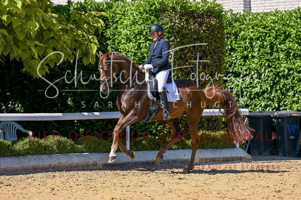 Schugtsche-Aluta25-50.Dressurpferdeprf.L-101 | Schugtsche Fotografie - Realisiert mit Pictrs.com