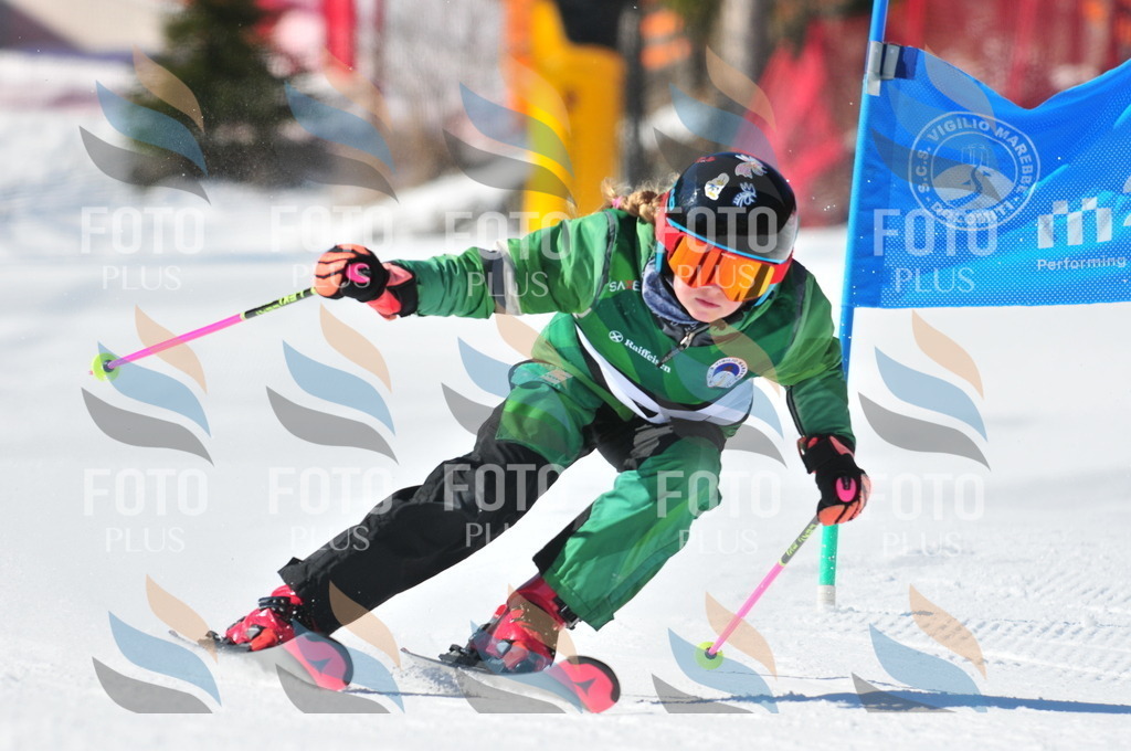 C2275 | holidayphoto