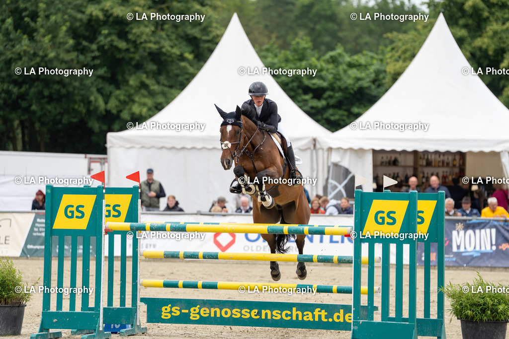 DSC08270 | Entdecke einzigartige Turnierfotos und persönliche Pferde- und Hundeportraits bei LA Photography. Für jeden Reiter und Pferd das perfekte Bild! Stöbere jetzt! - Realisiert mit Pictrs.com
