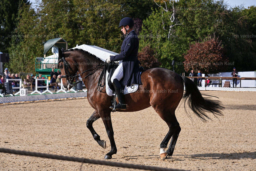 13-226-S___ -Marixx-7034 | working equitationturnier fotograf videograf stoibphotography marixx film working equitation deutschland reitsport turnierfotografie eventfotografie equestrian events