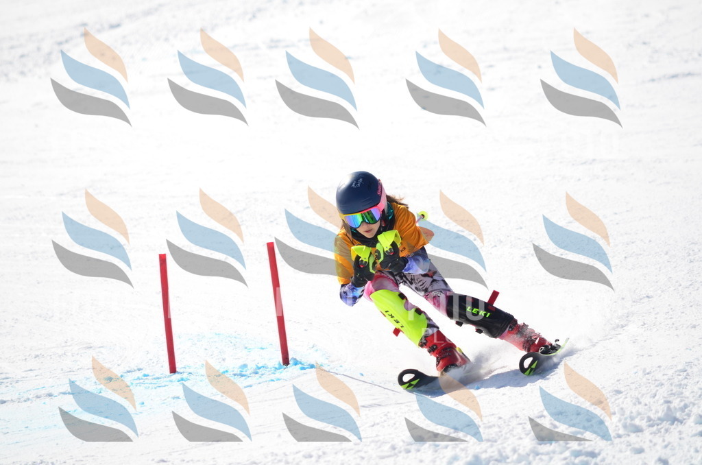 C9540 | holidayphoto