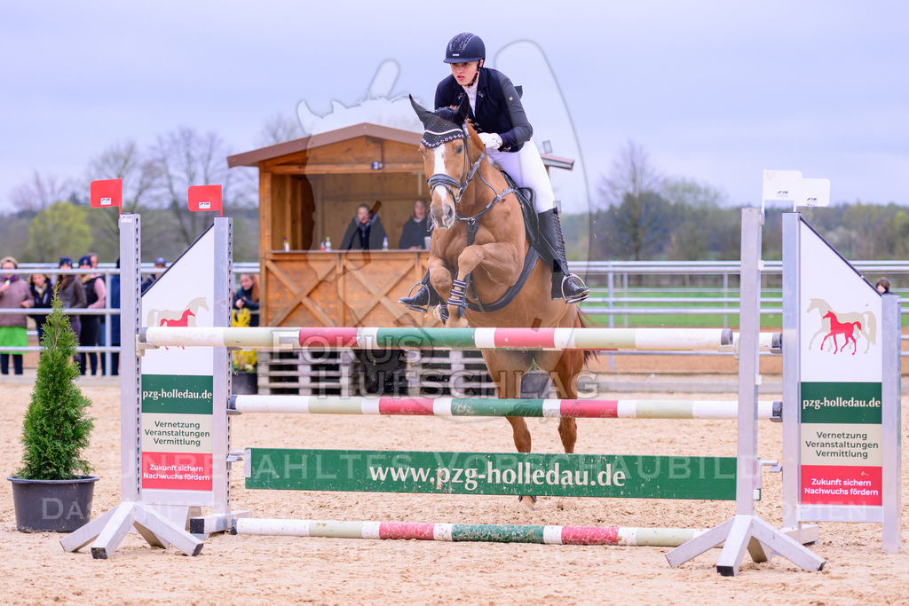 12042026-Mammendorf-Prfg39-0421 | Fokus Hufschlag Fotografie - Realisiert mit Pictrs.com