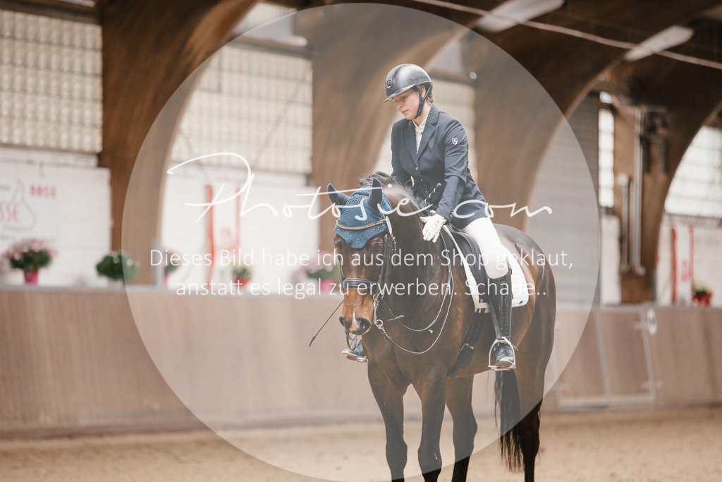 3I6A8508 | Stimmungsvolle Portraits und Reitsportfotografie im Ruhrgebiet und im Münsterland.

Pferdefotografie, Hundefotografie, Tierfotografie, Reportagen, Portraits von Tier und Mensch, Turnierfotografie in Bochum, Recklinghausen, Marl, Haltern am See, Dülmen.. - Realisiert mit Pictrs.com