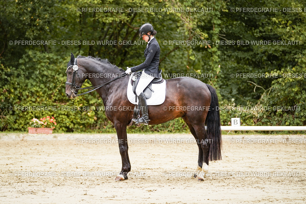 DSC03851 | Pferdegrafie