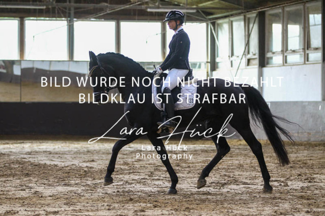 DKP45873 | larahueckfotografie
