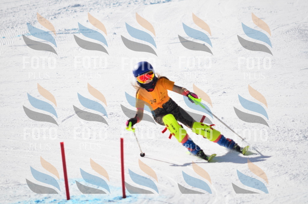 C8420 | holidayphoto