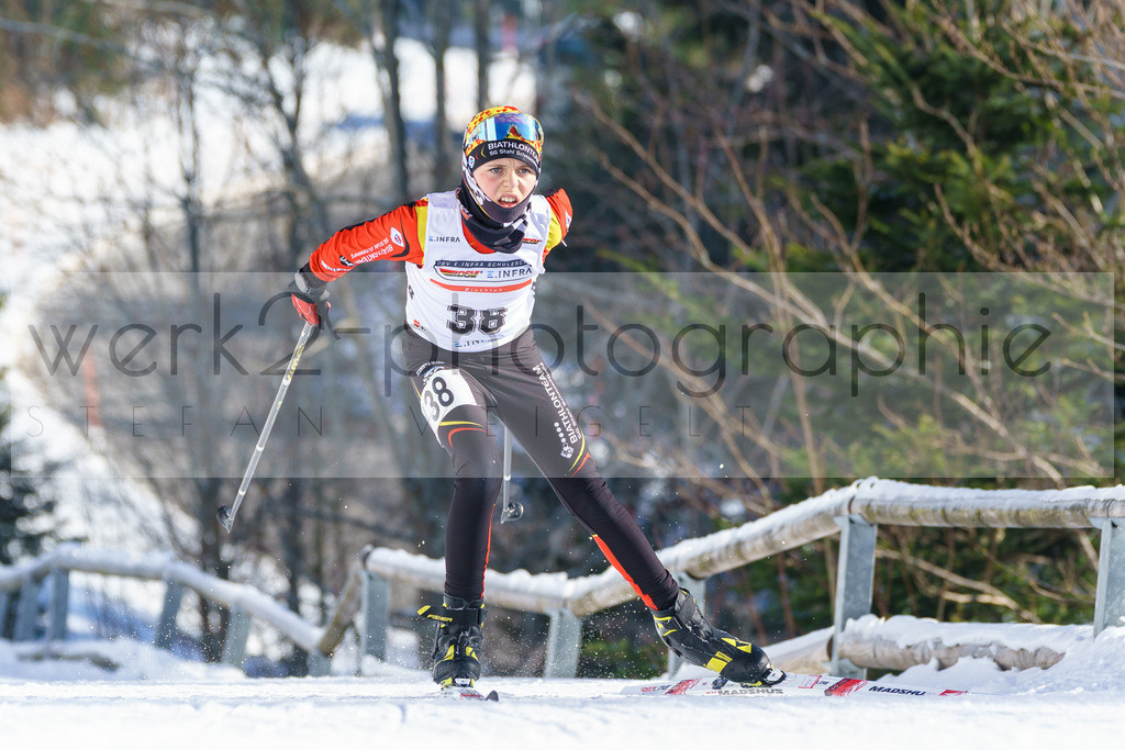 DSC Arber | Bayerischer Wald am 9. bis 12. Februar 2023
