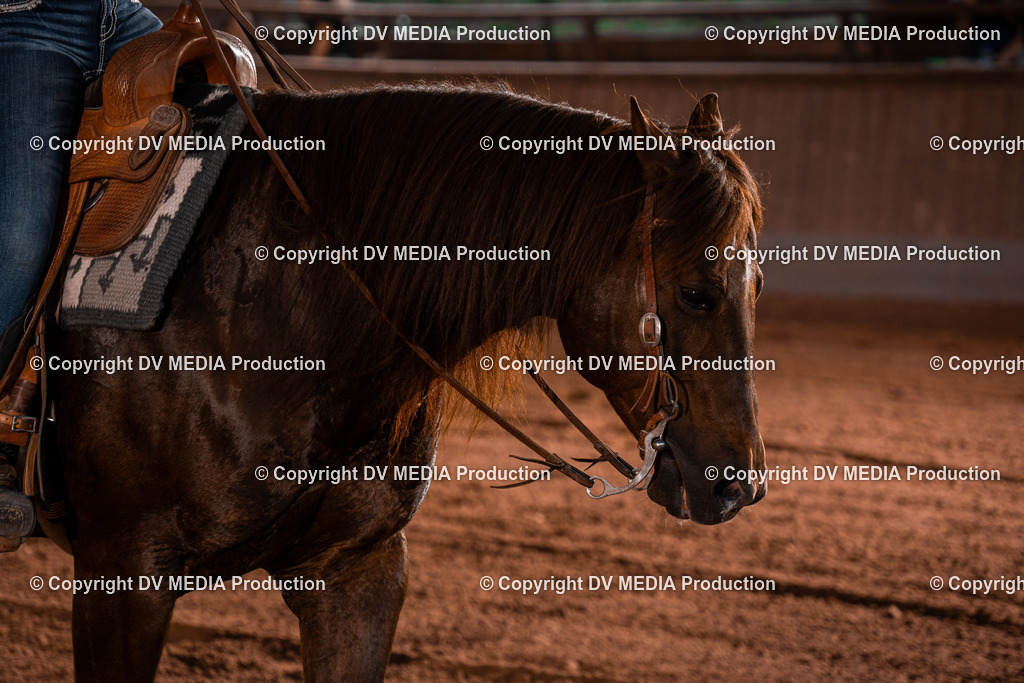 NE201423 | dv-media-shop - Realisiert mit Pictrs.com