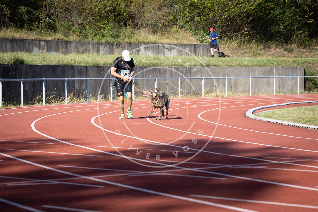 Pfotenfotografie_DV3A9977 | Hundefotografie, Tierfotograf, Pfotenfotografie, Fotoshooting Hund, Hunde Portrait, Hundesport, Hundeportraits, Heideshooting, Hunde, Sportfotograf, Hundefotograf, Turnierhundsport, THS,  - Realisiert mit Pictrs.com