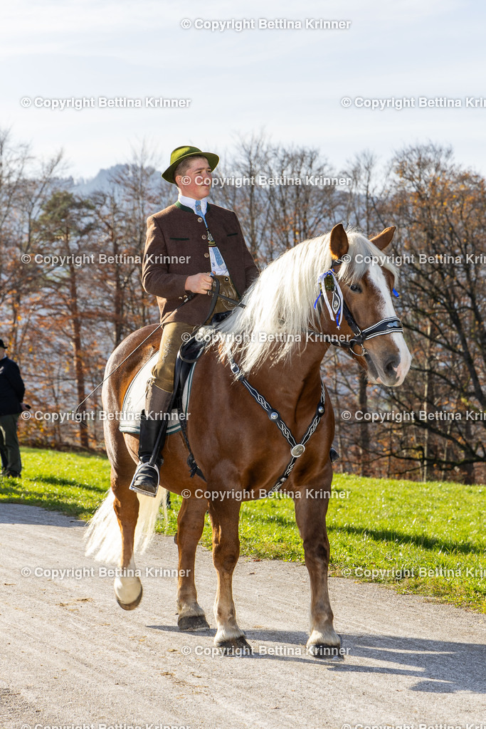 LBT24-1474 | foto-bettina-krinner - Realisiert mit Pictrs.com