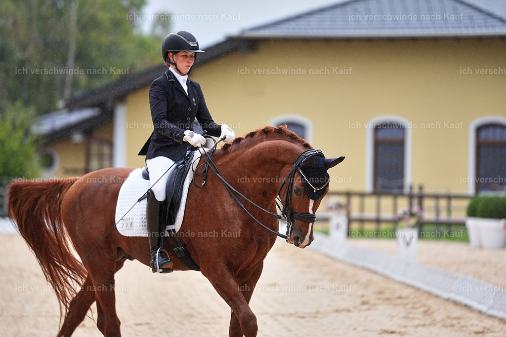 05-223-DRESSUR M_  -Marixx-4948 | working equitationturnier fotograf videograf stoibphotography marixx film working equitation deutschland reitsport turnierfotografie eventfotografie equestrian events