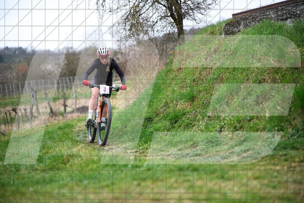 34. KTM Kamptal Trophy  | ZÖBING, Österreich – 2026-03-28: 34. KTM Kamptal TrophyFoto: © 2026 Martin Bihounek - MB Creative e.U.