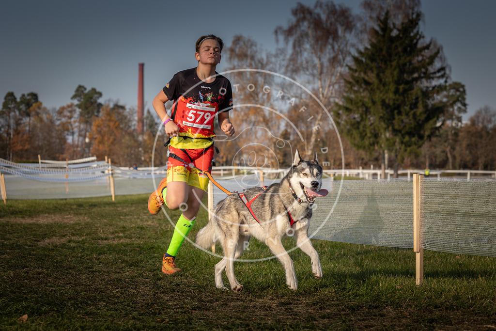 CaniXpix_0L8A9701 | Hundefotografie, Tierfotograf, Pfotenfotografie, Fotoshooting Hund, Hunde Portrait, Hundesport, Hundeportraits, Heideshooting, Hunde, Sportfotograf, Hundefotograf, Turnierhundsport, THS,  - Realisiert mit Pictrs.com