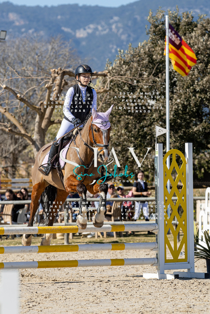 IMG_9547 | s-jay-photography - Realisiert mit Pictrs.com