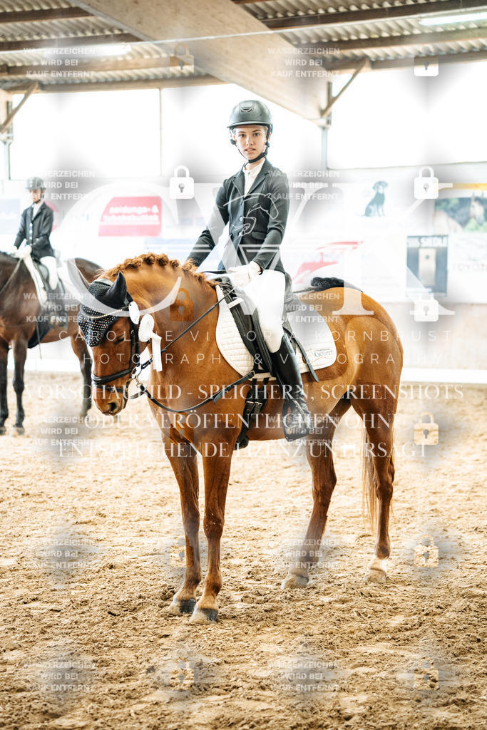 CK703118 | Turnierfotografie Pferdefotografie Trier Rheinland-Pfalz Pferdesport Reitsport Tierfotografie Sportfotografie Pferdevideo Pferdevideografie Equestrianvideography equestrianphotography  - Realisiert mit Pictrs.com