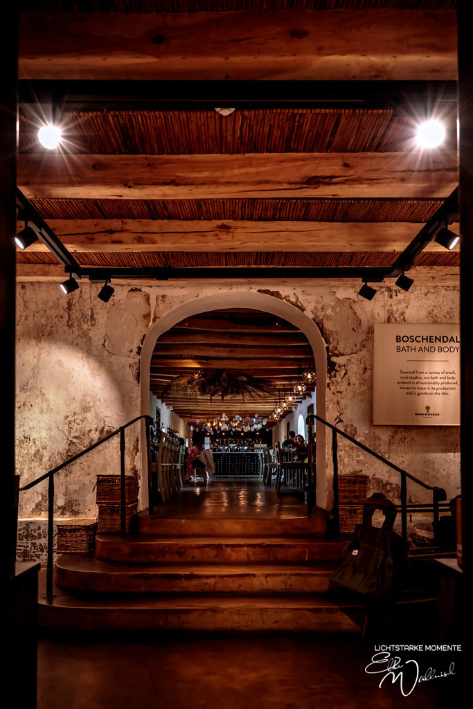 20230930-095834 SOUTHAFRIKA_-1 | Herzlich willkommen auf meiner Seite! Ich bin Elke Wallnisch, Deine Fotografin für lichtstarke Momente. Der Name steht für alles, was mich mit der Fotografie verbindet: Das Licht und seine machtvolle Wirkung auf eine Situation oder unsere Stimmung - Realisiert mit Pictrs.com