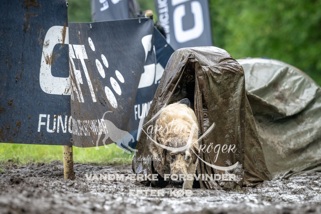 1159_ZZ90601 | kk-dogfotos