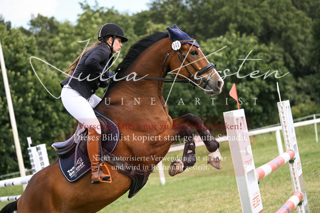 DSC_0904 | Pferde- und Turnierfotografie in Westsachsen. Pferdeportraits, Auftragszeichnungen und intuitive Kunst.