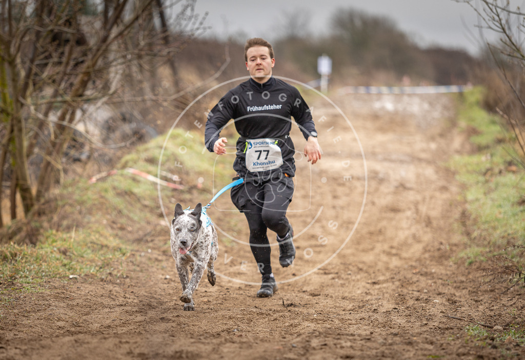 DV3A9803 | Hundefotografie, Tierfotograf, Pfotenfotografie, Fotoshooting Hund, Hunde Portrait, Hundesport, Hundeportraits, Heideshooting, Hunde, Sportfotograf, Hundefotograf, Turnierhundsport, THS,  - Realisiert mit Pictrs.com