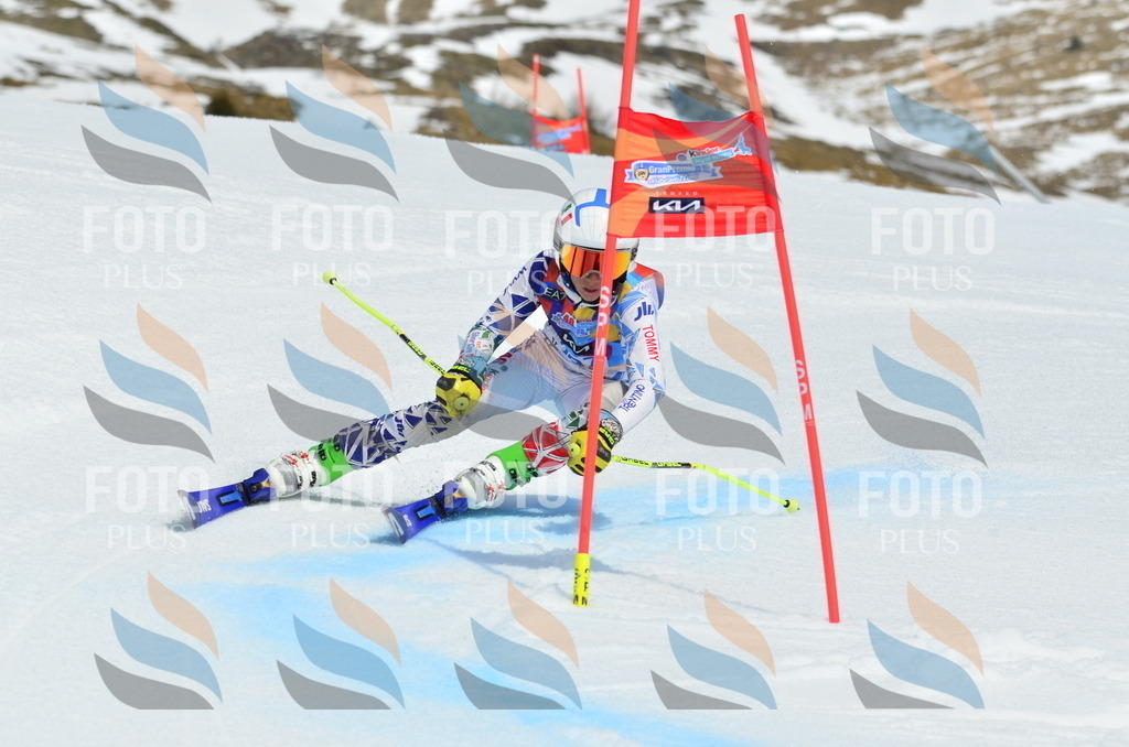 _ELE2143 | holidayphoto