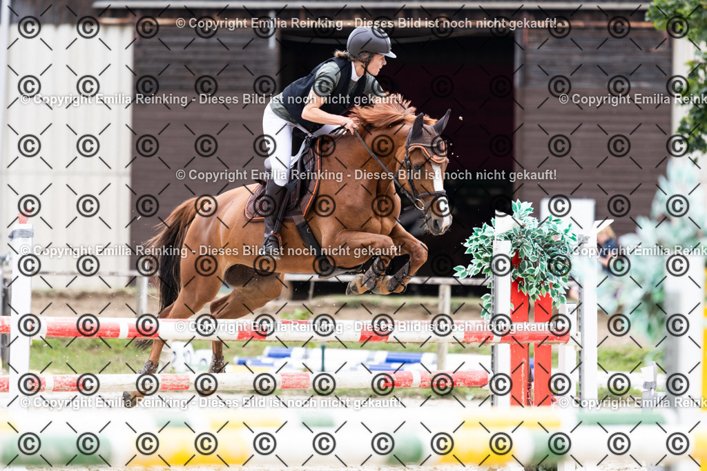 CL5A0842 | Emilia Reinking Fotografie - Realisiert mit Pictrs.com